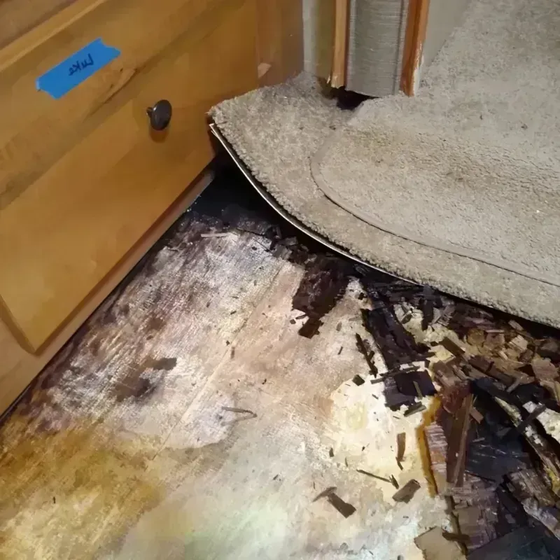 Best Wood Floor Water Damage Service in College Park, MD